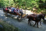 carriage drives acadia national park maine