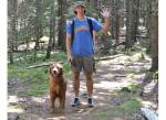 Hiking with dogs in Acadia National Park Maine
